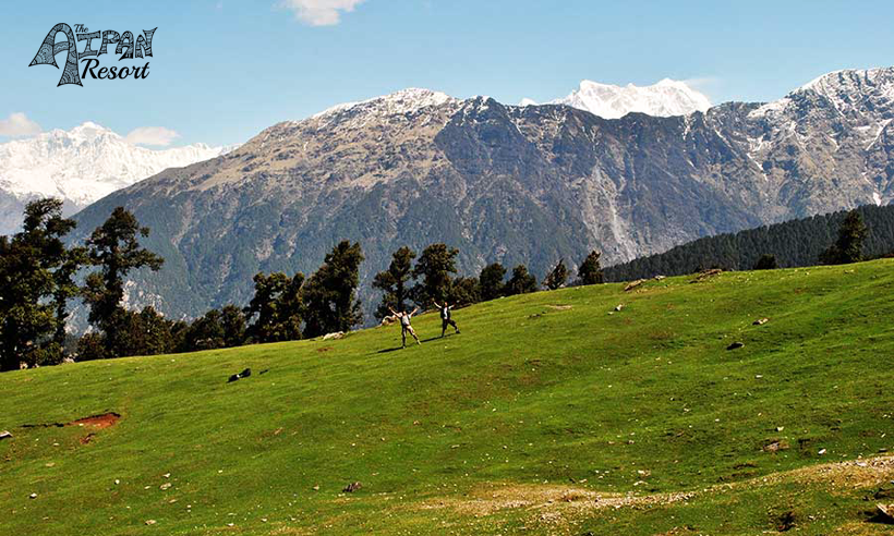 Heartfelt Experience